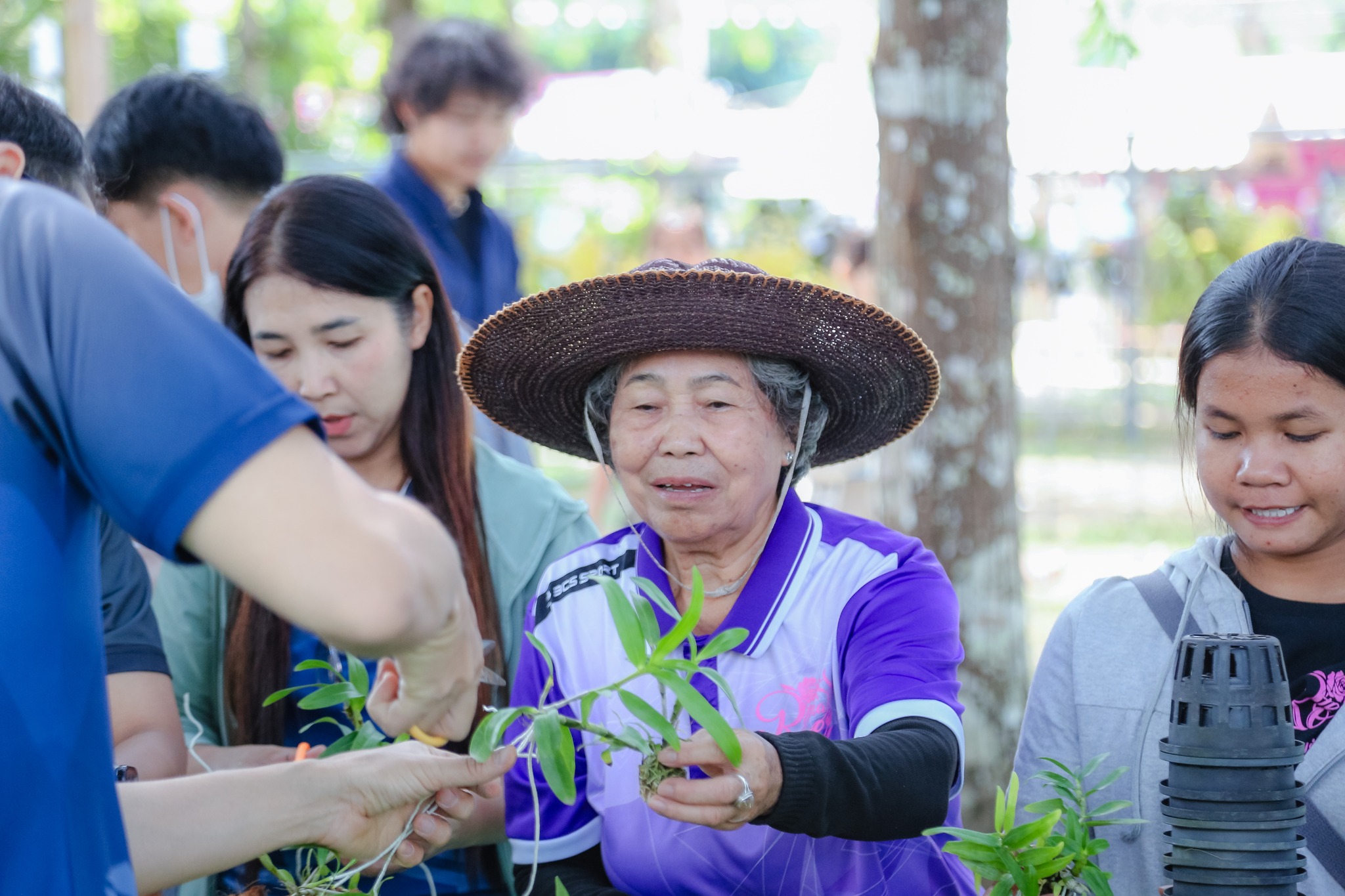 การถ่ายทอดการสร้างจิตสำนึกในการอนุรักษ์กล้วยไม้เหลืองจันทบูร” และ “การผลิตคอมบูชา” โดยสาขาวิชาเทคโนโลยีการผลิตพืชและภูมิทัศน์