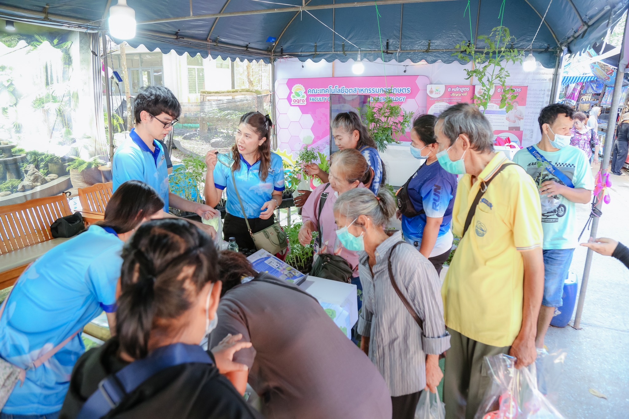 เทคนิคการปลูกผักน้ำนิ่ง